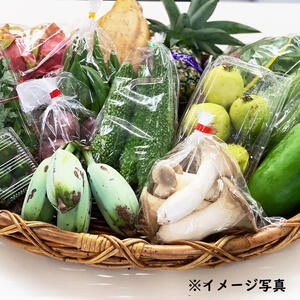 【期間限定：送料無料】うるマルシェ生産者協議会の農産物セット