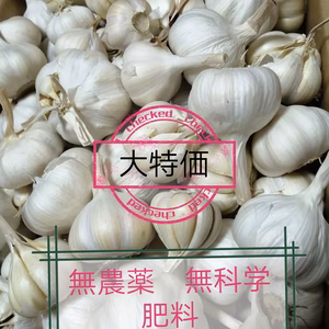 無農薬、無化学肥料、にんにく