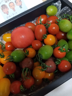 みんなの投稿の画像