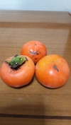 和歌山県産　美濃農園の富有柿（訳あり果）12個（L~３Lサイズ）3.5kg