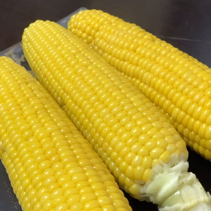 これぞトウモロコシ！甘くてうまいゴールドラッシュ　常温発送