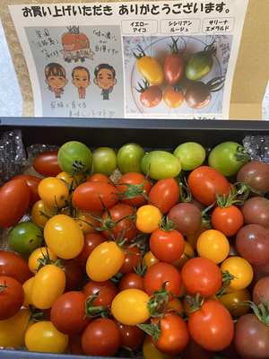 みんなの投稿の画像