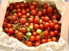 一番お得♪高糖度ミニトマト（不揃いお任せ・レッド・イエロー）1kg　化学肥料・農