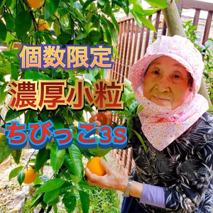 【個数限定３Ｓサイズ】とみ子ばぁばの有田みかん