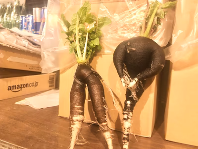 みんなの投稿の画像