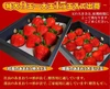 【特大】あまおう9〜15玉入×2箱 苺(いちご)イチゴの王様アマオウ