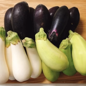 猛暑払い！カラフルなす3色セット！～農薬/化学肥料・不使用