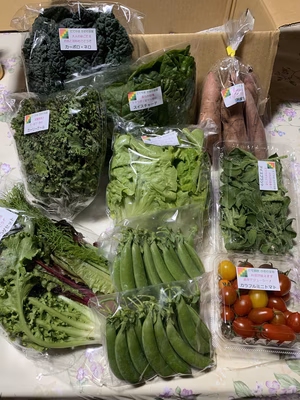 みんなの投稿の画像