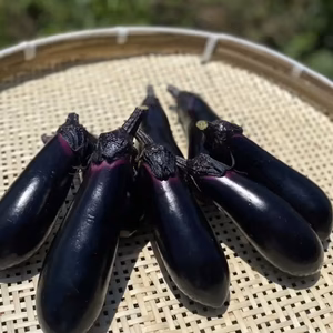 【朝採り】【新鮮】ナス 2kg 詰め合わせセット