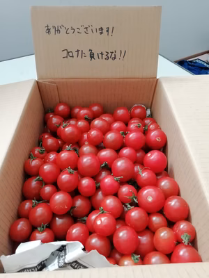 みんなの投稿の画像