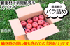 減農薬りんご【9〜1月定期便】 訳あり 家庭用 3kg/5kg