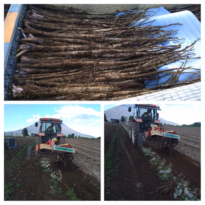 みんなの投稿の画像