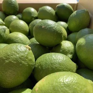 広島県 瀬戸田レモン 5kg