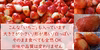 【イベント中止で材料余ってます!!】　「ひたち姫」　冷凍いちご　1.3kg