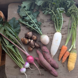 常温便【12月のお試しBOX】渥美半島から旬と彩りの野菜セット