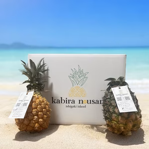 【石垣島産】ジュワリーパインとスナックパインのお得な食べ比べセット!!