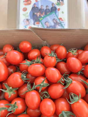 みんなの投稿の画像