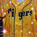 とらばか シンガイ