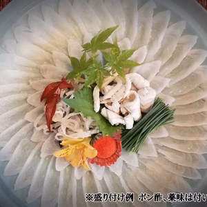 豊後とらふぐ刺身セット（養殖4～5人前）