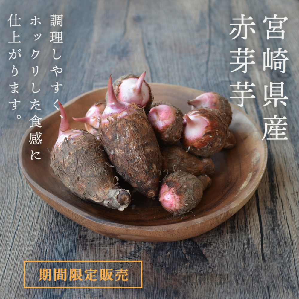 【今だけ！値下げ価格】里芋 赤芽芋 セレベス 2kg 宮崎産（おまけ付