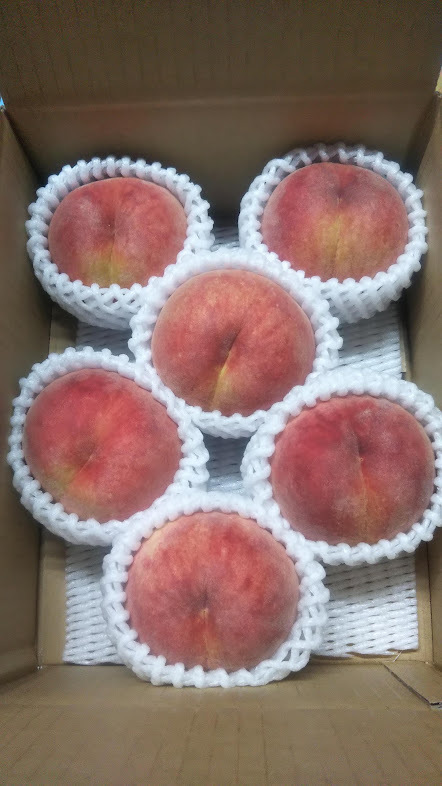 りんご＆黄金桃ー３キロ✕２箱セット