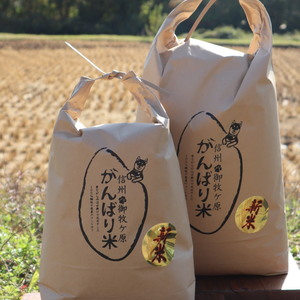 令和2年 信州御牧ケ原産 がんばり米(白米)