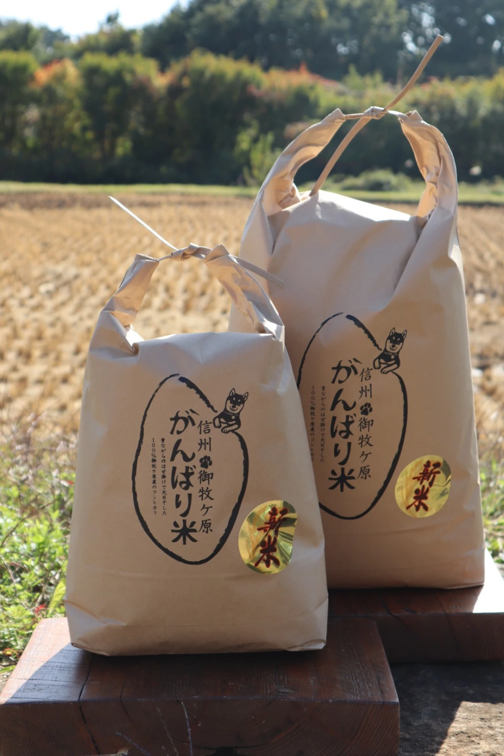  令和4年 信州御牧ケ原産 がんばり米(白米)