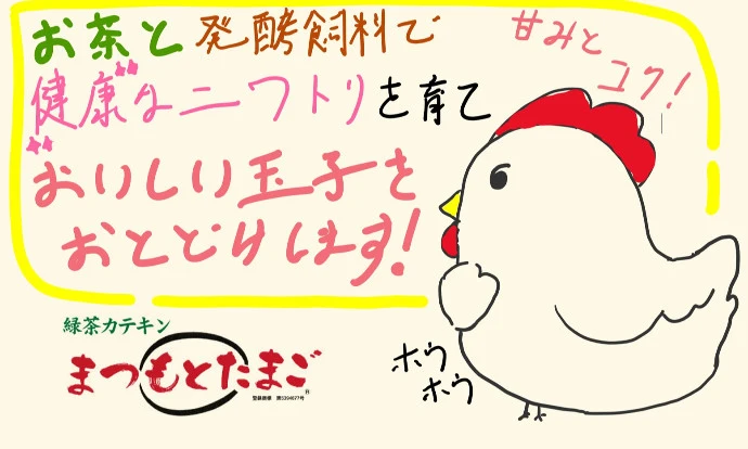 【臭みがなく、濃い味】まつもとたまご　Mサイズ40個