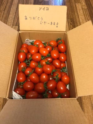 みんなの投稿の画像