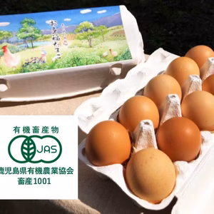 オーガニック卵「お多福たまご」10個入（有機JAS認定の放し飼い卵）