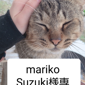 Mariko Suzuki様専用です。