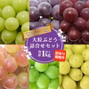 【送料無料】訳あり・規格外品 シャインマスカットと品種お任せぶどう詰合せセット