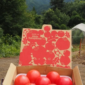 シェアセット！秋の大玉トマト『麗月』7玉入り✖️3箱