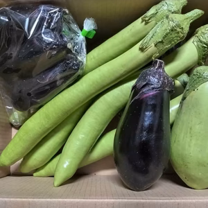 ナス4種 お試し食べ比べセット♪
