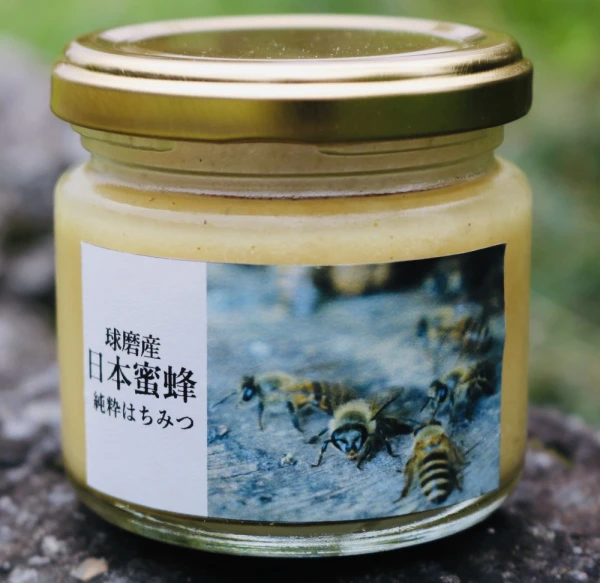 YUCO様専用くまさん(球磨産)の日本蜜蜂はちみつと訳ありにんにく1.5kg小玉