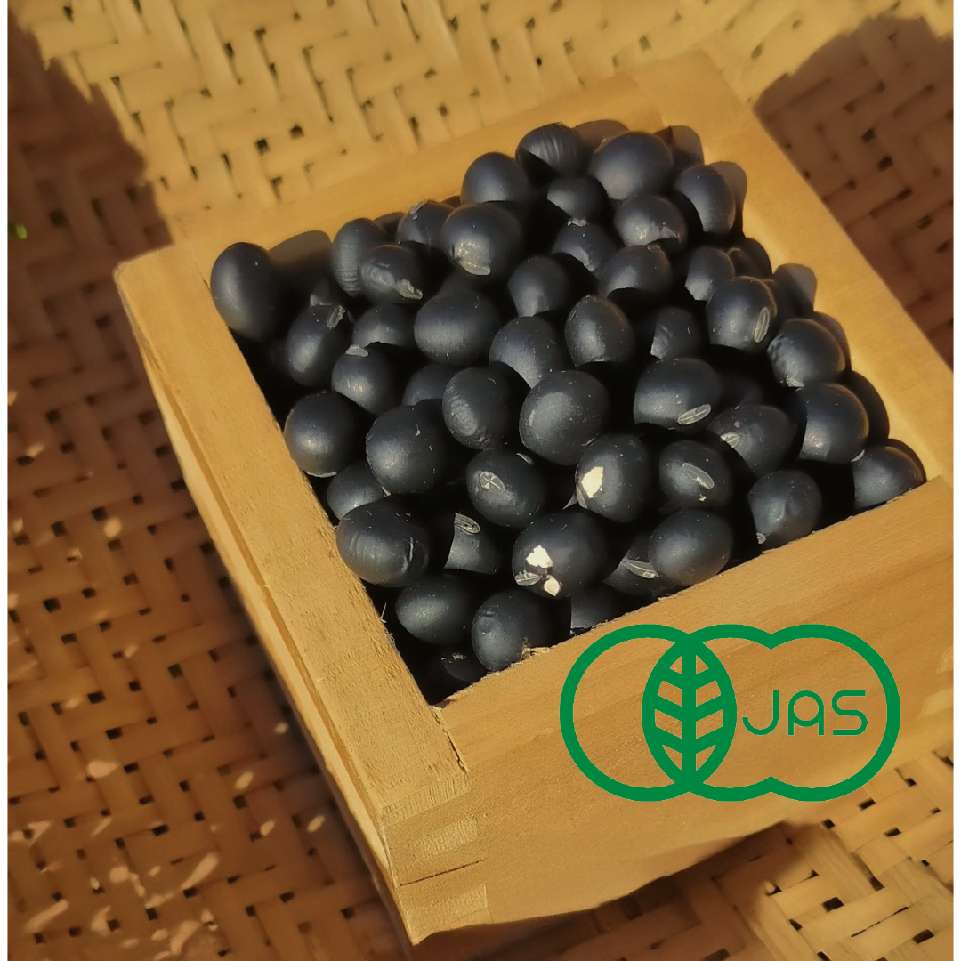 農家直送【新豆】令和7年産 北海道壮瞥町産大豆20㎏ 農家