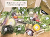 重さ限界まで詰めます！夏野菜いっぱい｢旬野菜＆ハーブ｣
