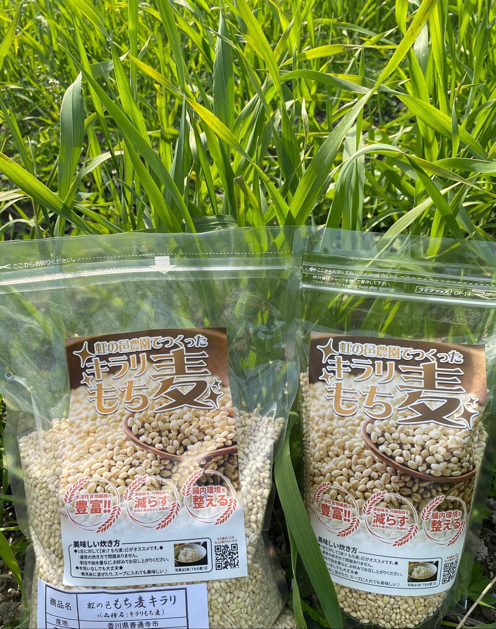 高評価の贈り物 アグリ宮荘 キラリモチ もち麦 5kg 送料無料 アグリ宮荘 キラリモチ もち麦