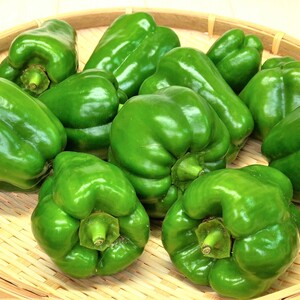 夏野菜と根物野菜セット ②