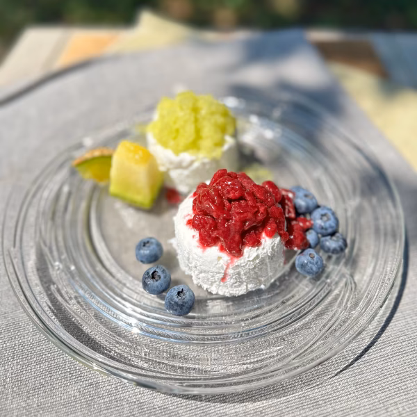 自然栽培ブルーベリーとメロンのグラニータ　クリームチーズセット