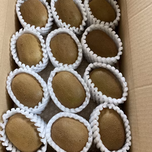 ゴールドキウイ　Ｌサイズ12個入り