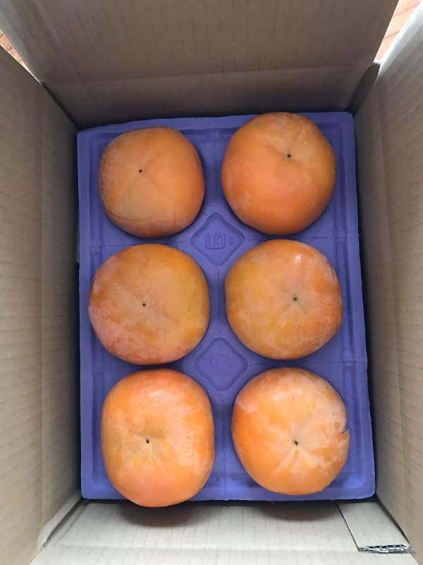 岐阜県進物用  2Lから3L ６個 セット