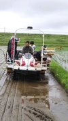 令和4年度 千葉県産 新米 有機栽培米コシヒカリ 精米5㎏×2袋より