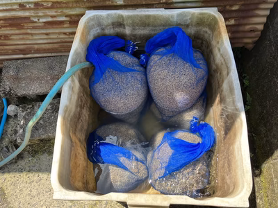 みんなの投稿の画像