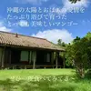 沖縄県産アップルマンゴー