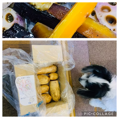 みんなの投稿の画像