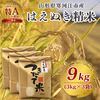 【送料無料】令和3年産 山形県寒河江市産 はえぬき精米 9kg（3kg×3袋）