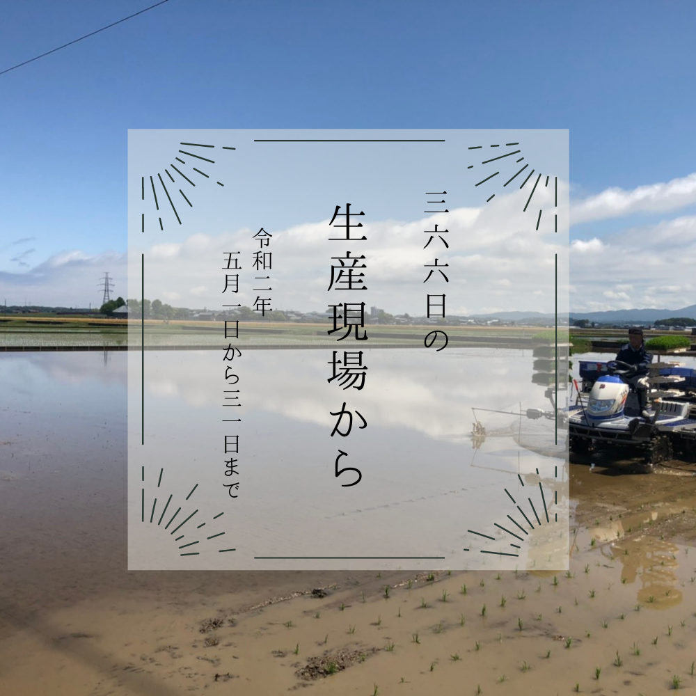 パウダー5ぐんま 20時間券 たゆ 未使用