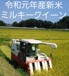 令和2年産ミルキークイーン玄米15キロ