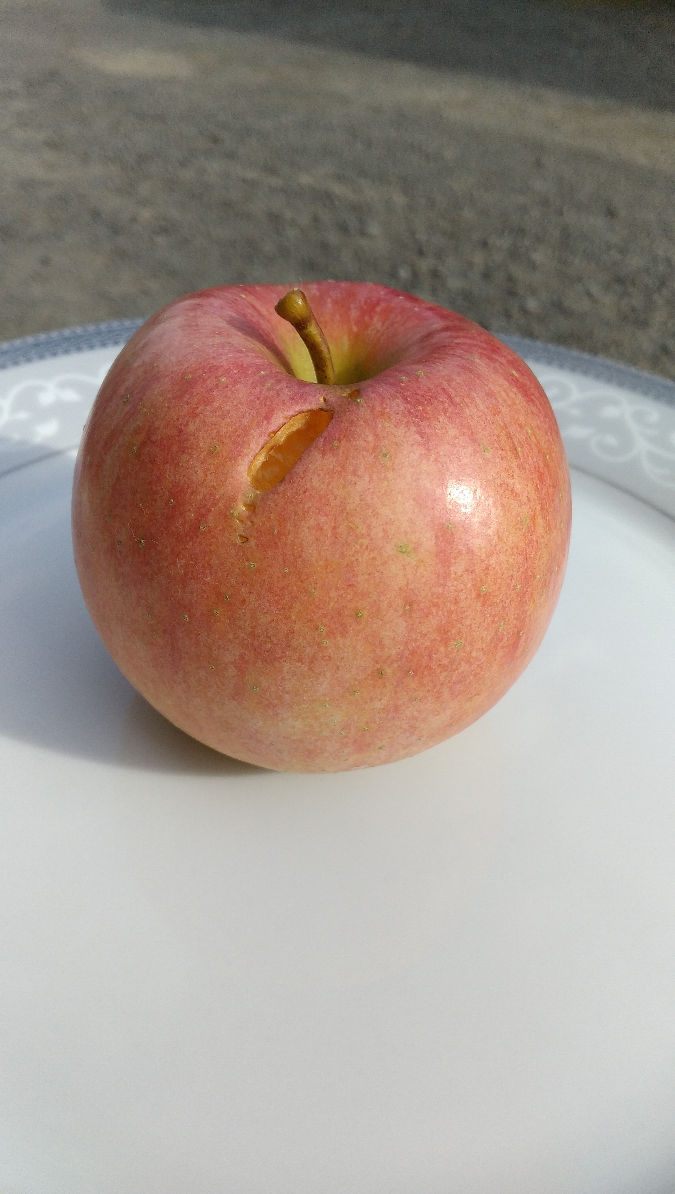 秋の人気者 福島のリンゴ こうとく訳あり2キロお買い得品 農家漁師から産地直送の通販 ポケットマルシェ